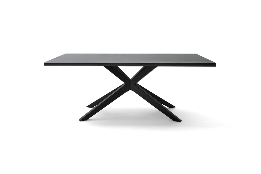 Esstisch 200cm hauptaufnahme