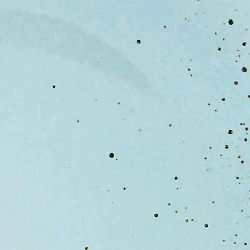 Frühstücksteller material_farbe