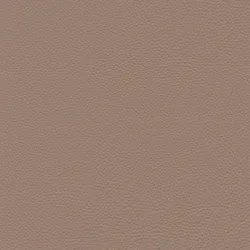 Biscotto material_farbe