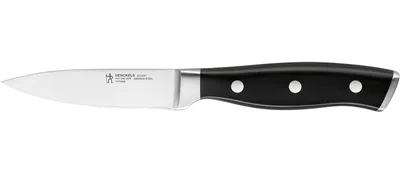Spick- und Garniermesser