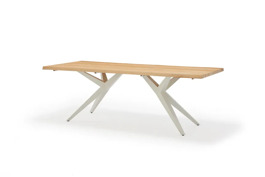 Tisch 220x95 hauptaufnahme