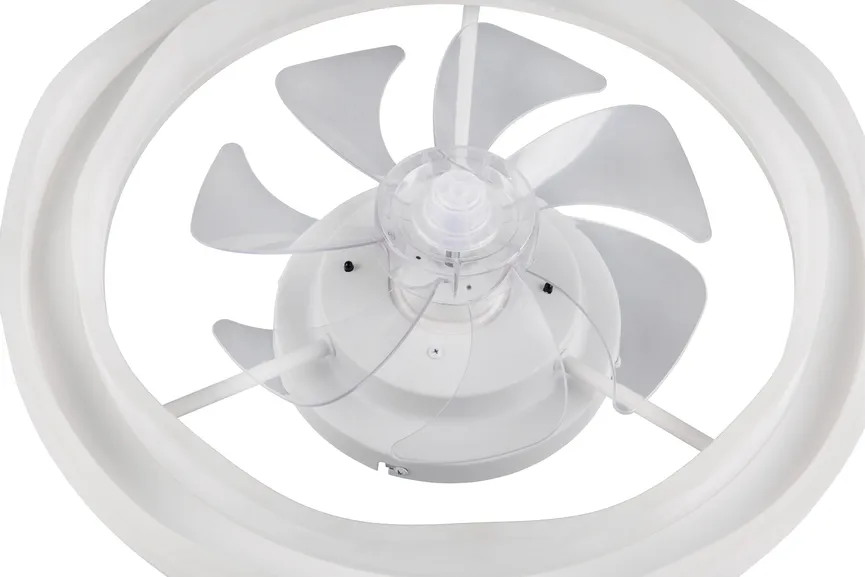 Ventilator "Skaulo" detail