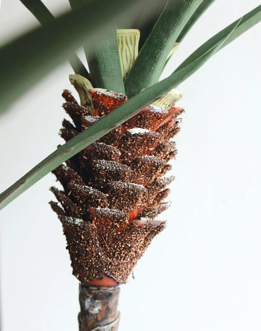 Palme grün detail