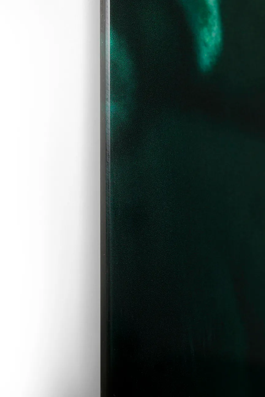 Glasbild Lion detail