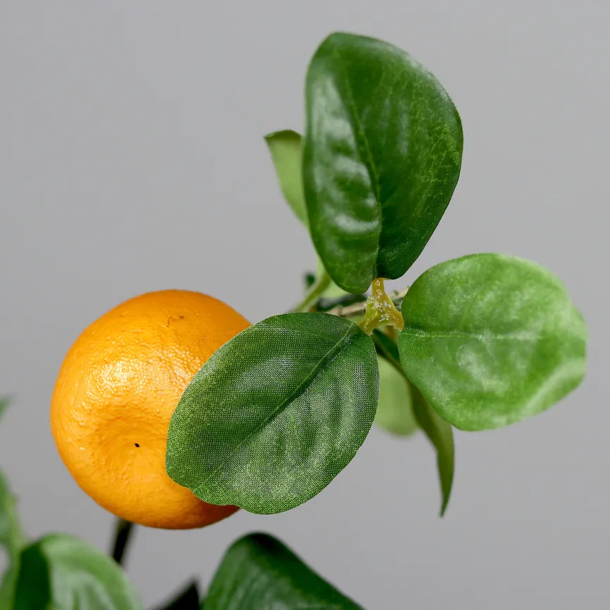Orangenzweig detail