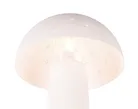 hauptaufnahme