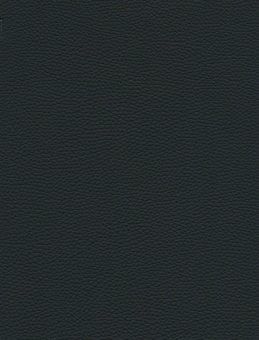 Gerade Bank 11903023 material_farbe