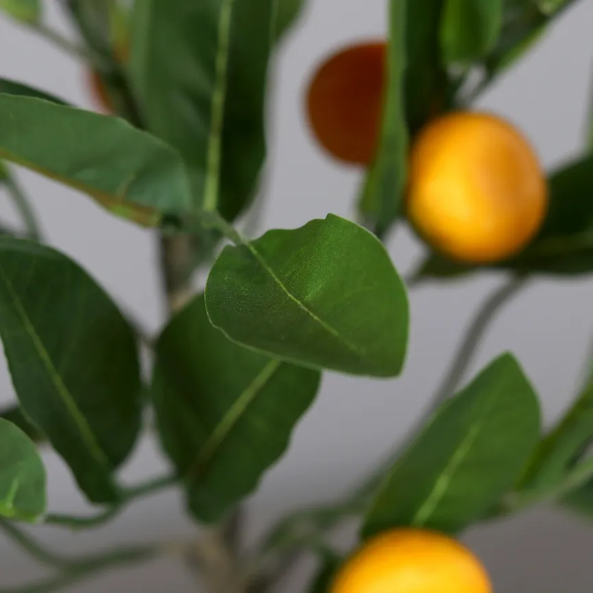 Mandarinenbaum detail