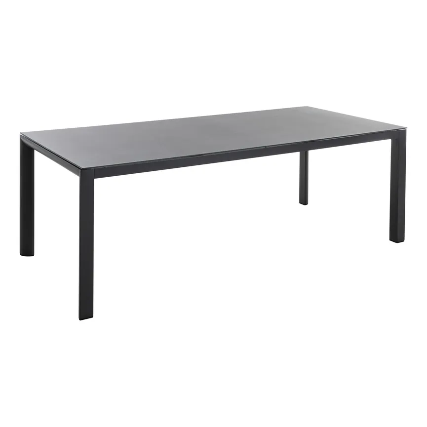 Tisch Hellgrau 220x100 cm material_farbe