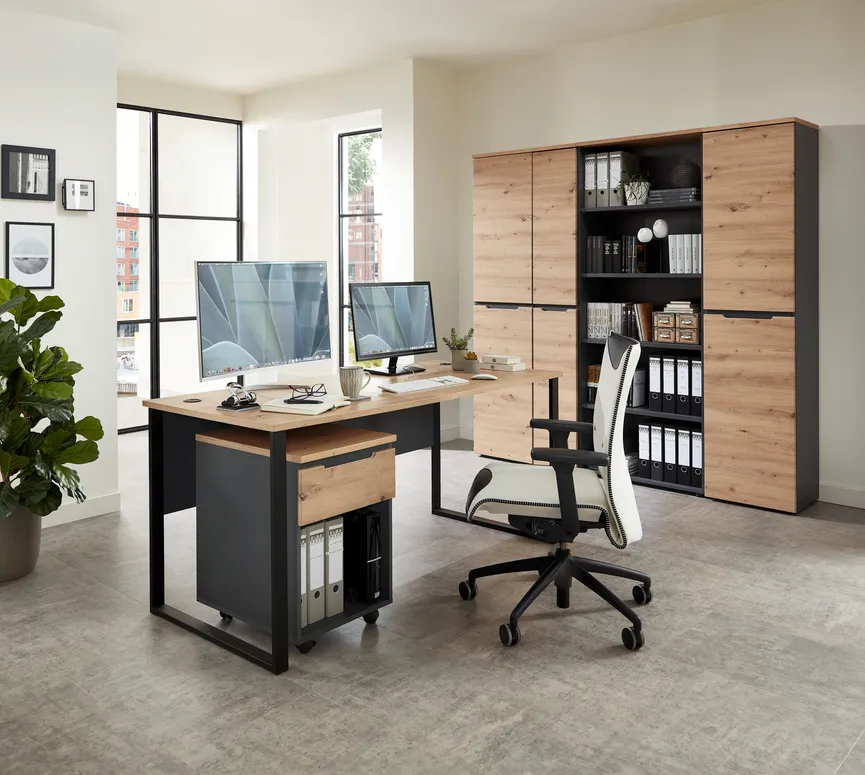 Büroschrank milieu