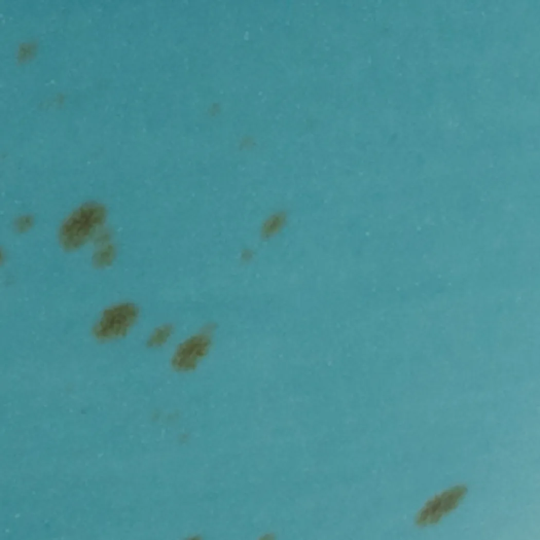 material_farbe