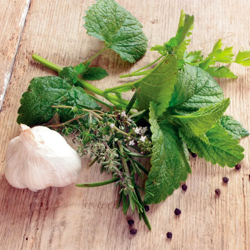 Küche / Kräuter - Herbs III hauptaufnahme