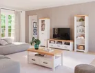 milieu