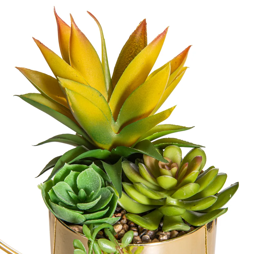 Pflanzenarrangement detail