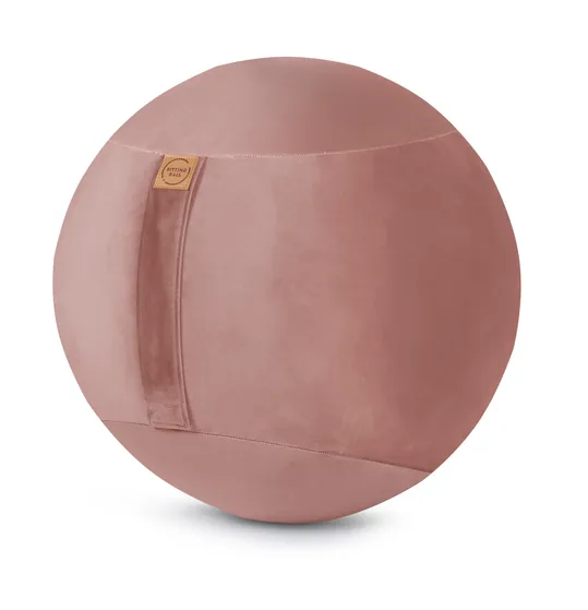 Sitzball