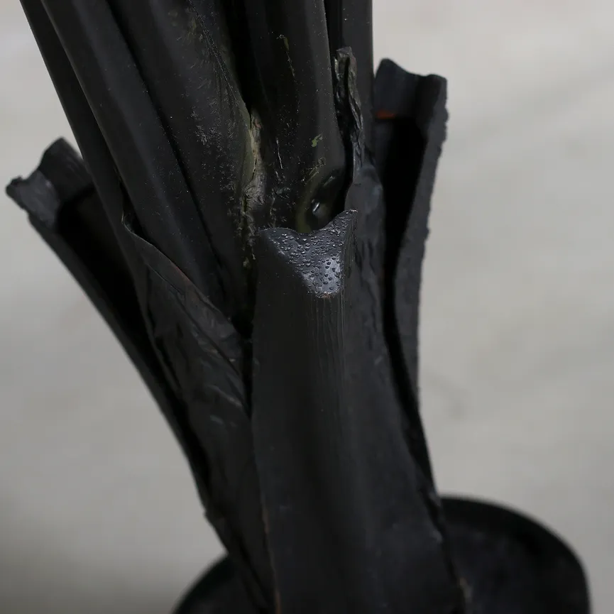 Strelitzie M schwarz detail