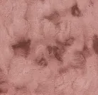 material_farbe