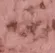 FARBE