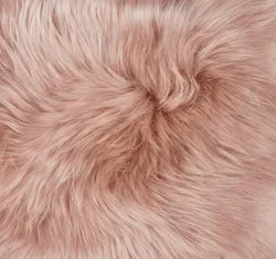 Rose material_farbe