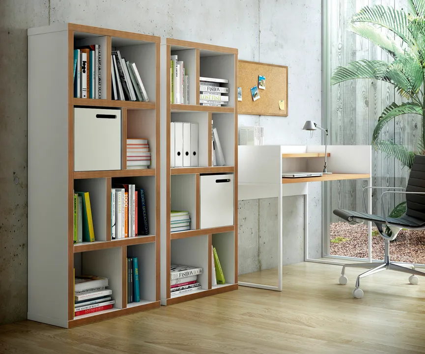 Bücherregal 4 milieu