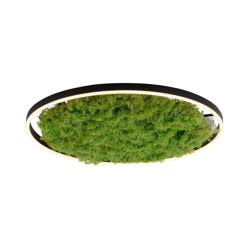 Deckenleuchte "Green Ritus" hauptaufnahme