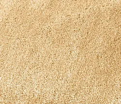 Champagner material_farbe