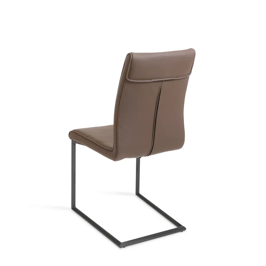 Schwinger 421 detail