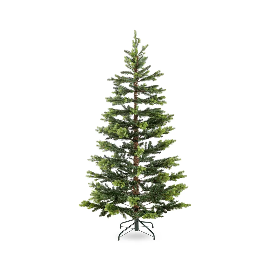Tannenbaum M hauptaufnahme