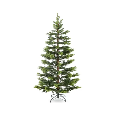 Weihnachtsbaum