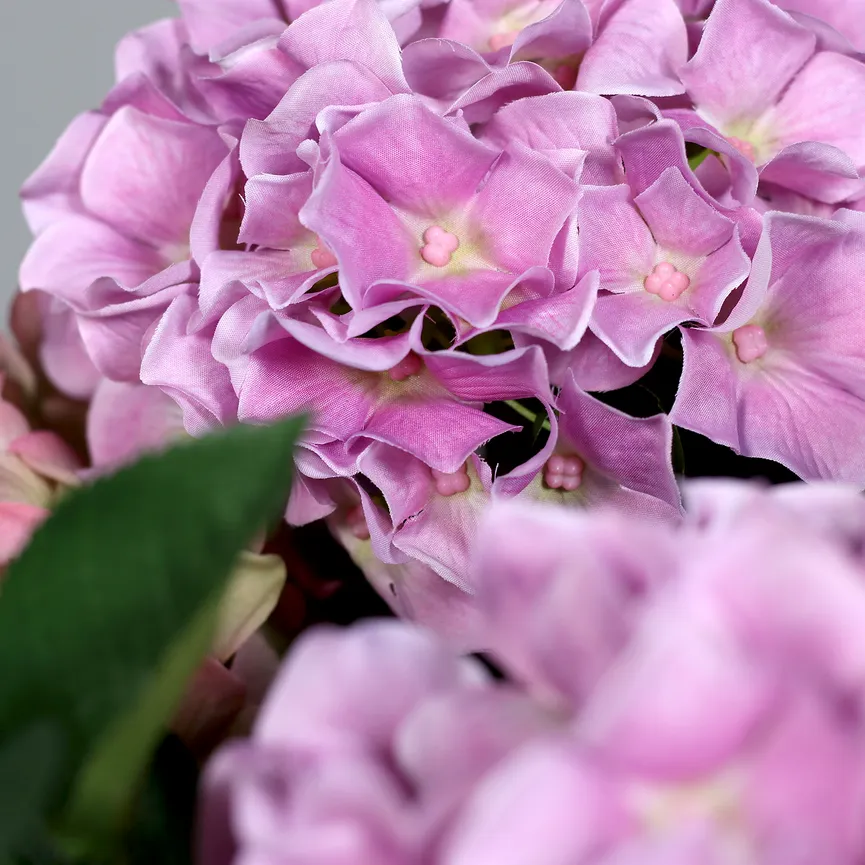 Premium Hortensien-Arrangement detail