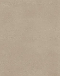 Beige material_farbe