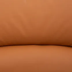 Camel material_farbe