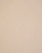 material_farbe
