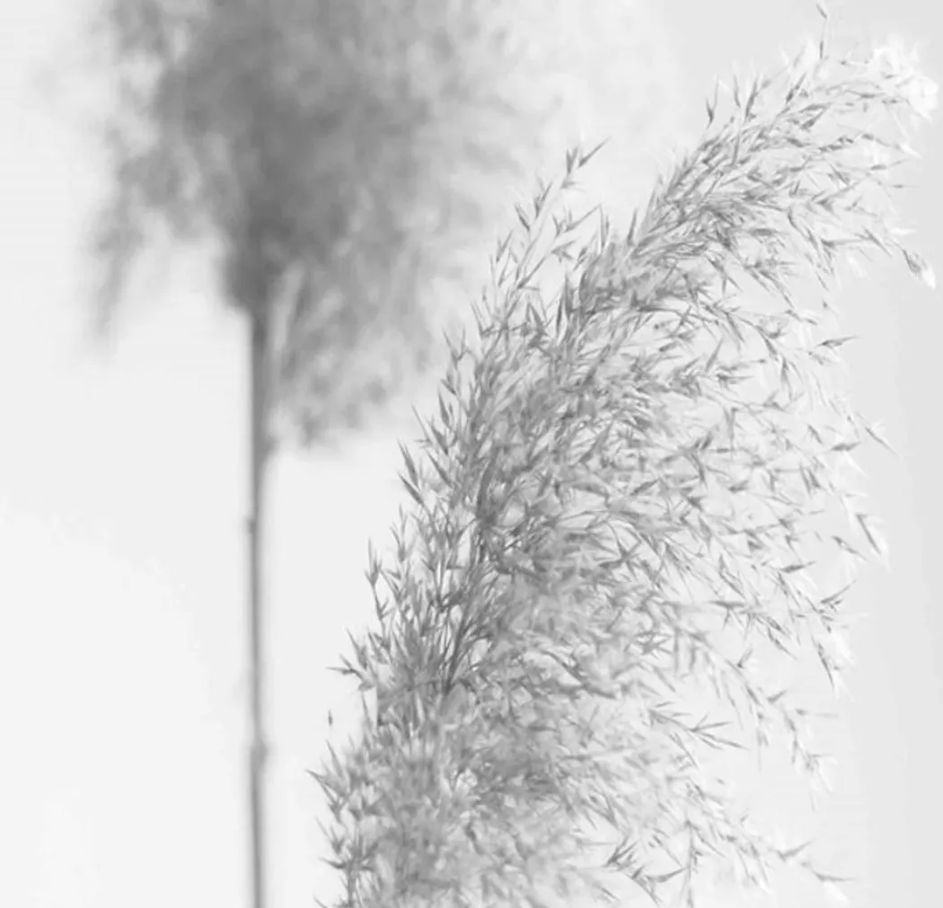 material_farbe