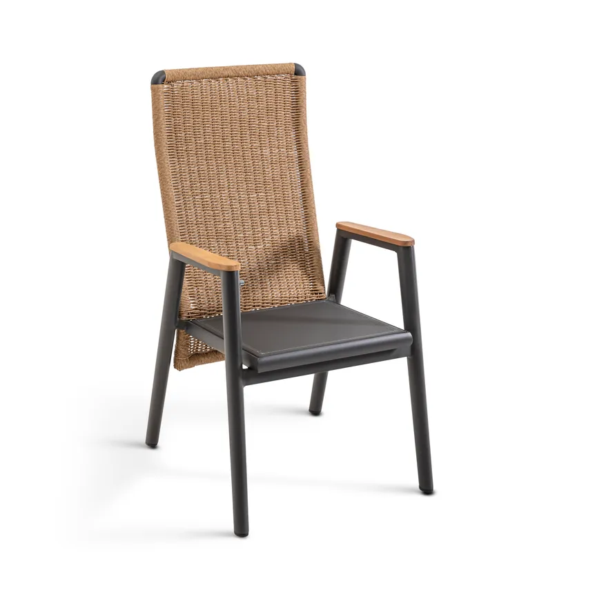 Dining Sessel detail