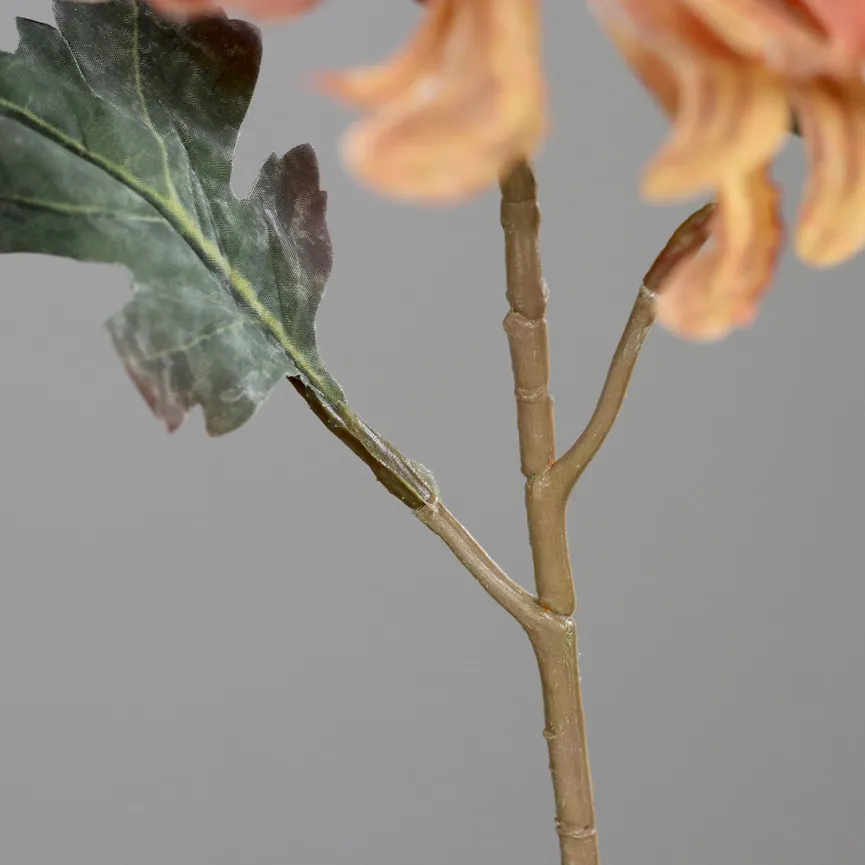 Chrysantheme honig detail