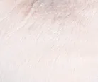 material_farbe