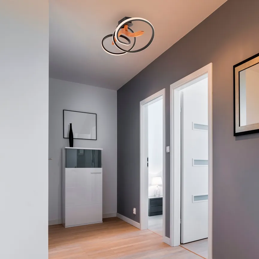 LED-Deckenleuchte milieu