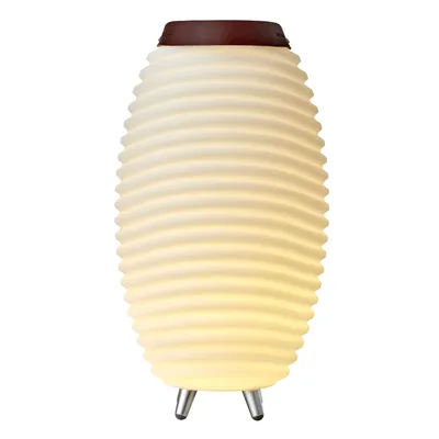LED-Akkuleuchte