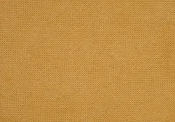 Mustard material_farbe
