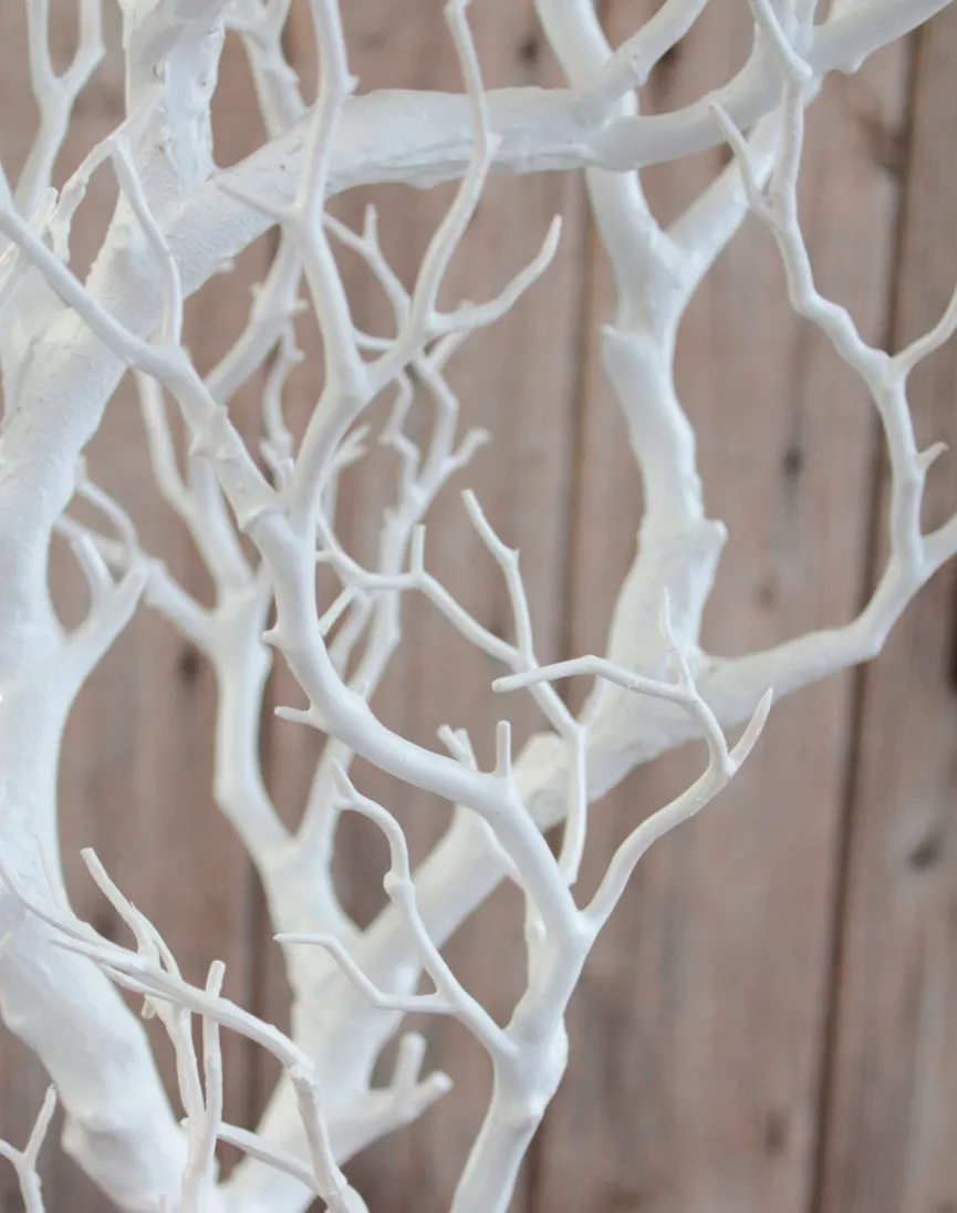 Ast L weiß detail