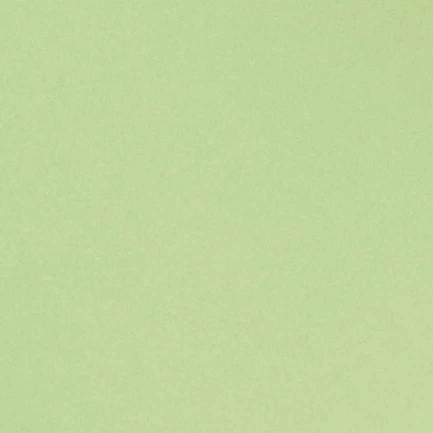 Suppenteller "Basic" grün material_farbe