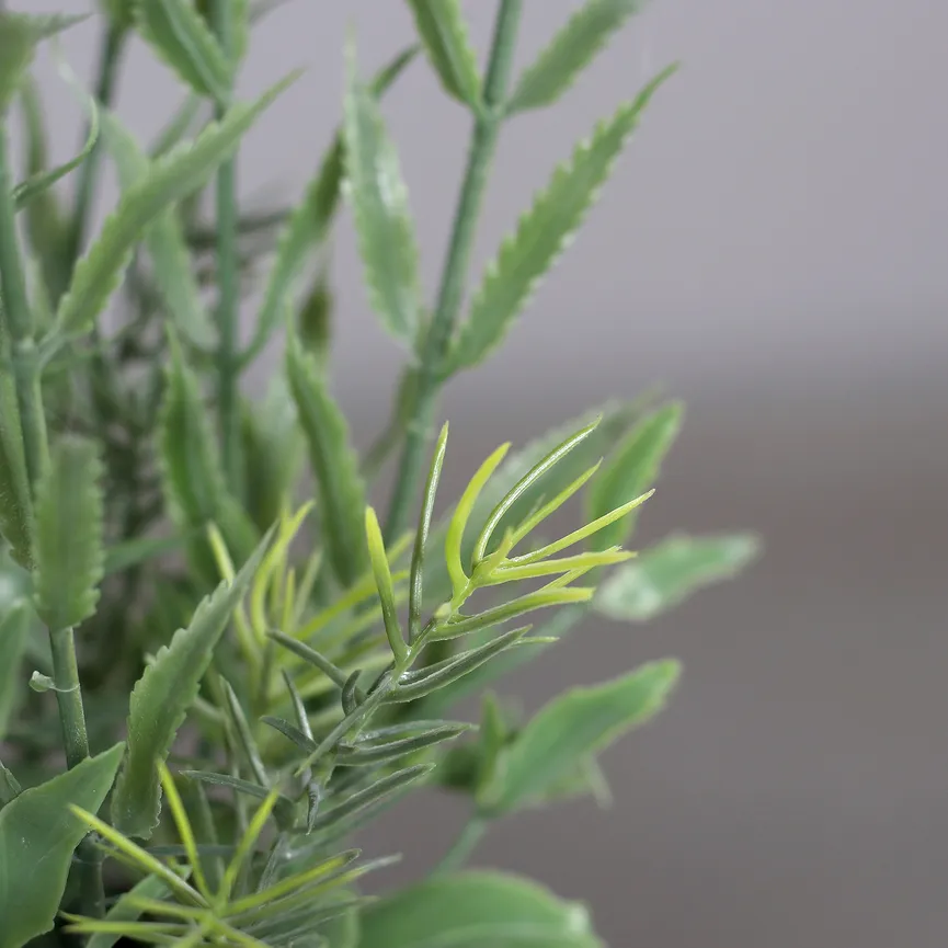 Lavendel lavendel detail