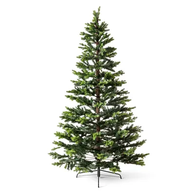 Weihnachtsbaum