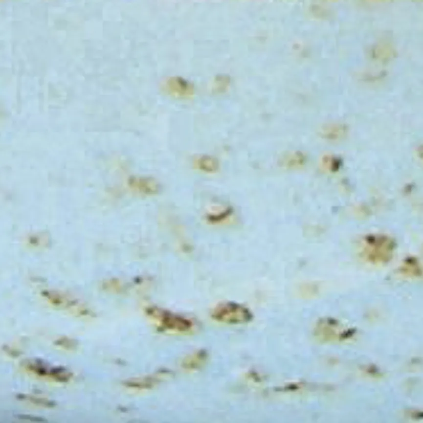 Müslischale material_farbe