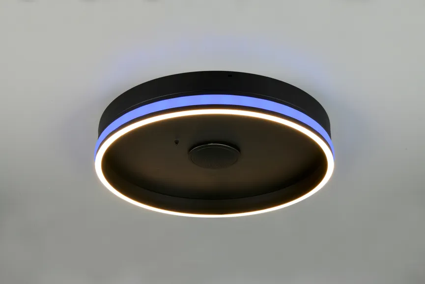 Deckenleuchte "Malin" milieu