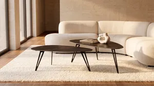 Couchtisch-Set