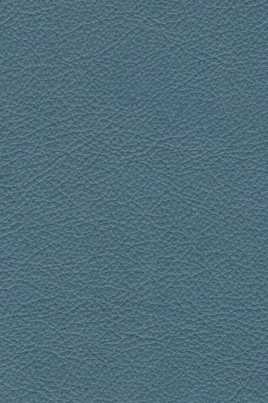 AL-Stuhl Eisen material_farbe
