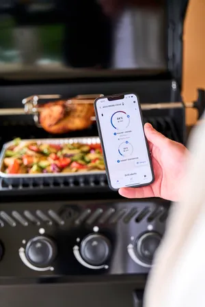 Gasgrill