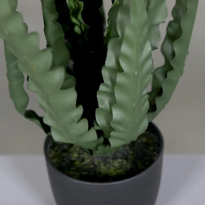 Farn grün detail